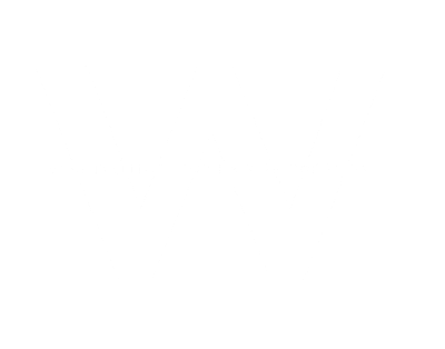 Dr. Jeffrey Wise